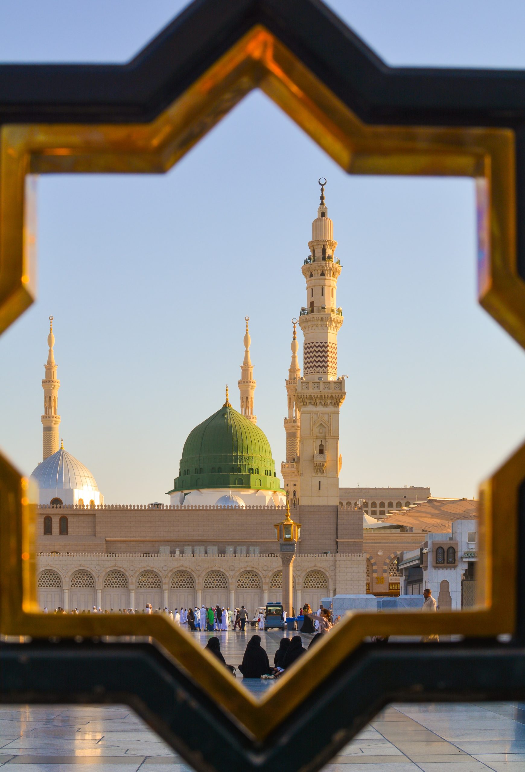 adli-wahid-Y9bC2h5V9c8-unsplash adli-wahid-Y9bC2h5V9c8-unsplash