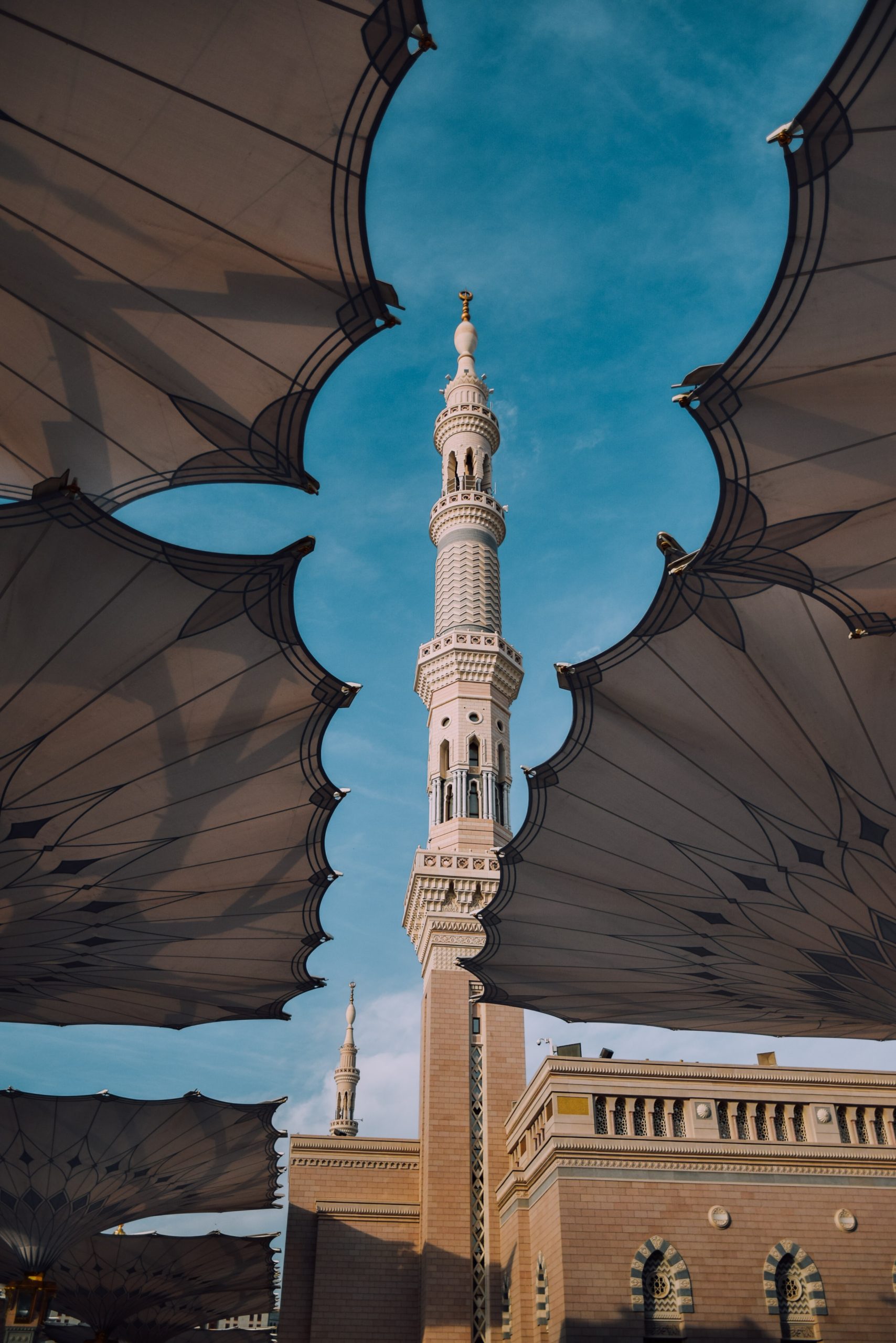 yasmine-arfaoui-R6rh5ttDO-4-unsplash-2 yasmine-arfaoui-R6rh5ttDO-4-unsplash-2